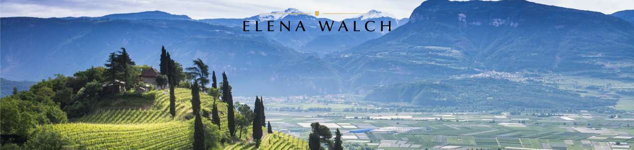 Winzer - Elena Walch