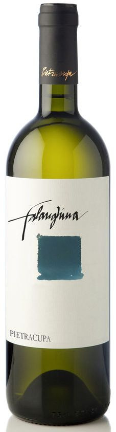 Falanghina  IGT SALE