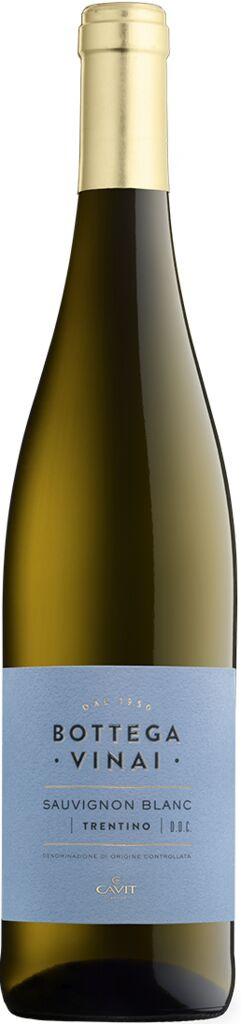 Sauvignon Blanc Trentino DOC Bottega Vinai Cavit Trentin