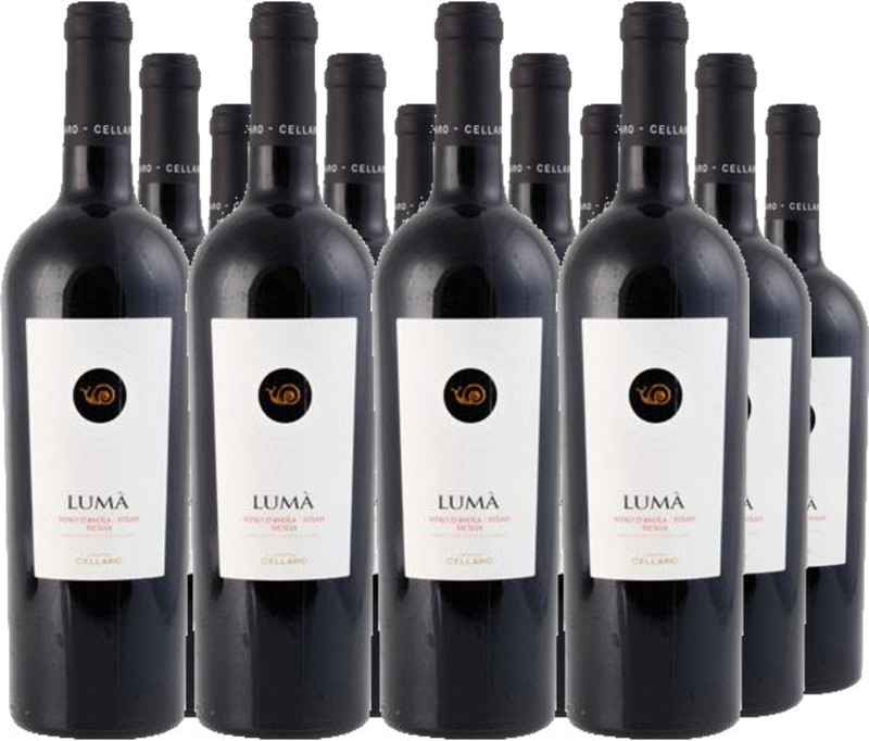 12er Vorteilspaket Luma Nero d′Avola IGT