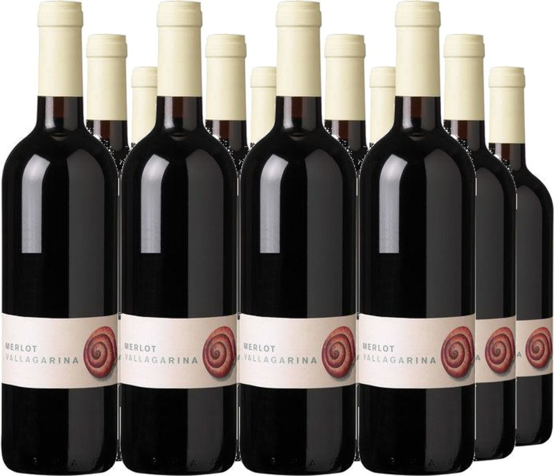12er Vorteilspaket Merlot Vallagarina IGT
