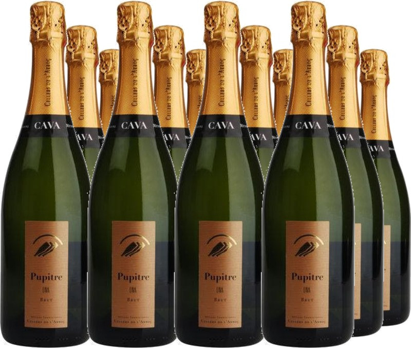 12er Vorteilspaket Pupitre Brut Cava DO