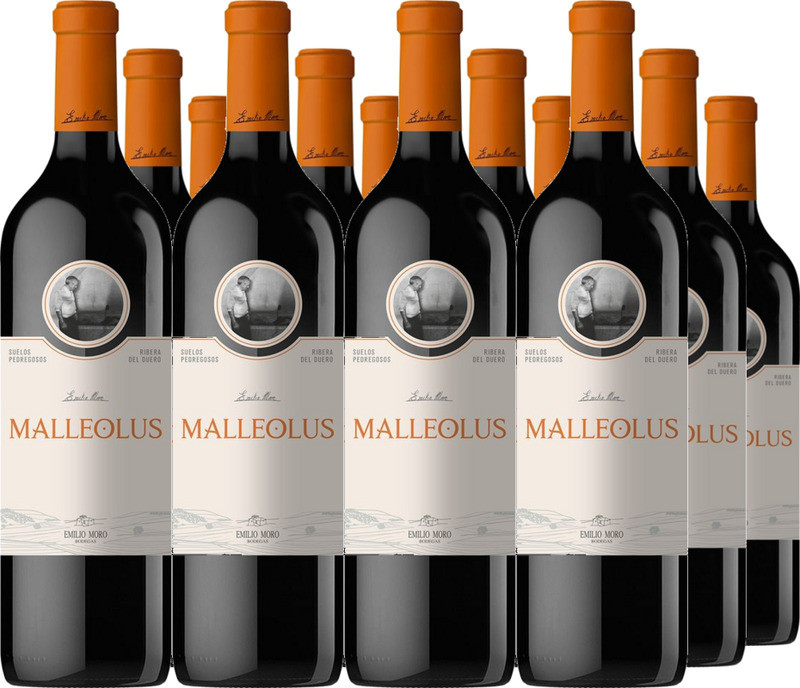 12er Vorteilspaket Malleolus