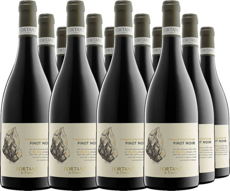 12er Vorteilspaket Pinot Noir Terroir d'Altitude