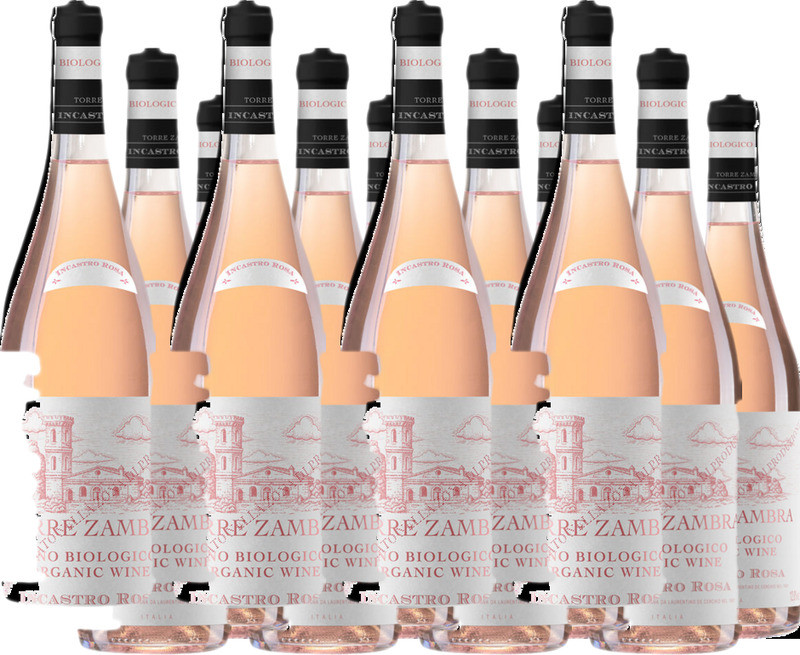 12er Vorteilspaket Incastro Rosa "Madia"