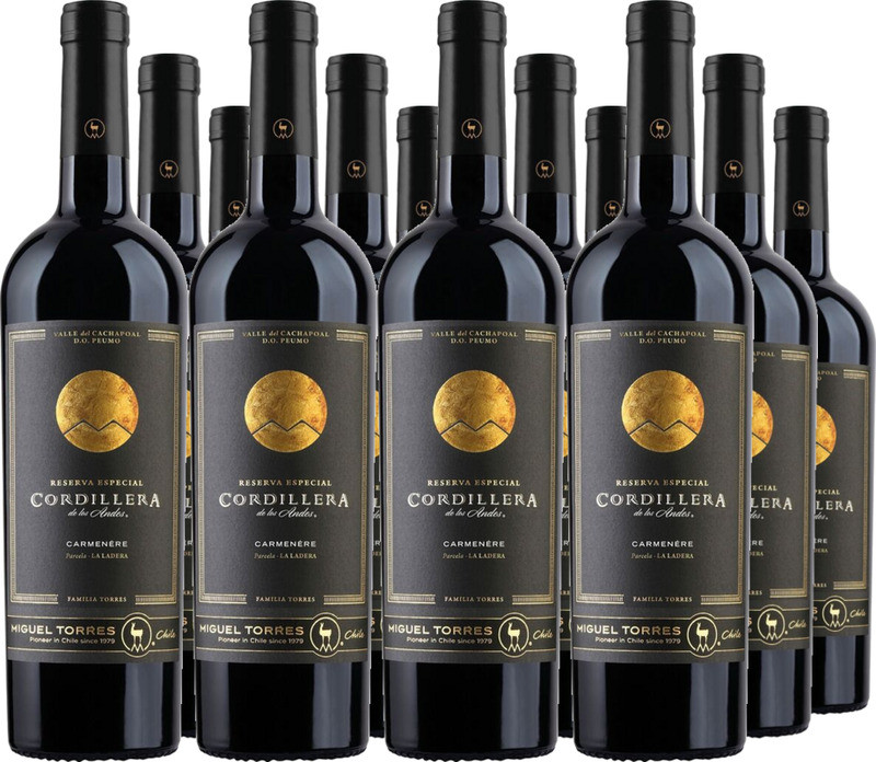 12er Vorteilspaket Cordillera Carmenère Cachapoal Valley