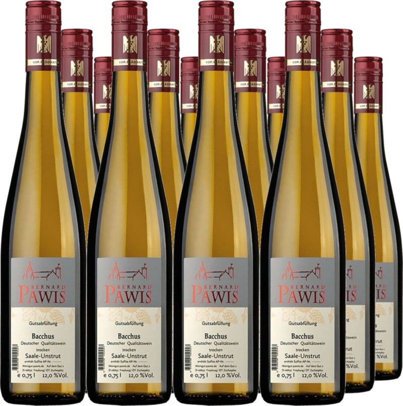 12er Vorteilspaket Bacchus QbA trocken