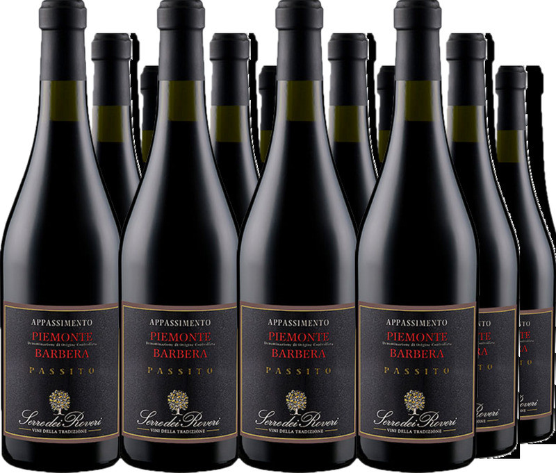 12er Vorteilspaket Serre dei Roveri Appassimento Piemonte Barbera DOC