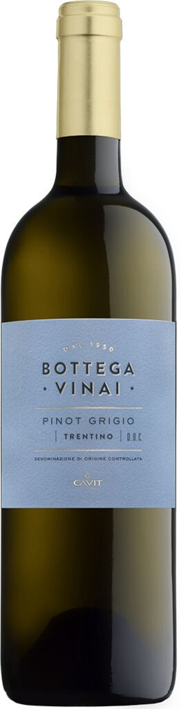 Pinot Grigio Trentino DOC Bottega Vinai Cavit Trentin