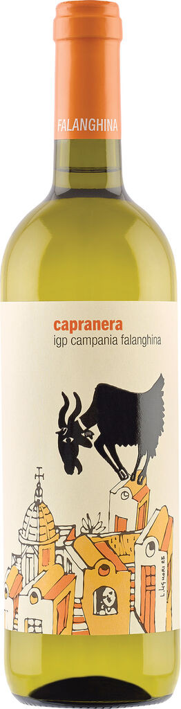 Capranera Falanghina 2025 San Salvatore Kampanien