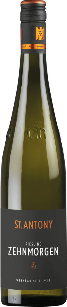 Riesling Zehnmorgen GG 2022 St.Antony Rheinhessen