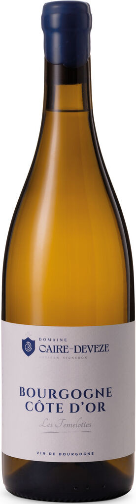Bourgogne Côte d'Or Les Femelottes 2023 Domaine Caire-Deveze Burgund