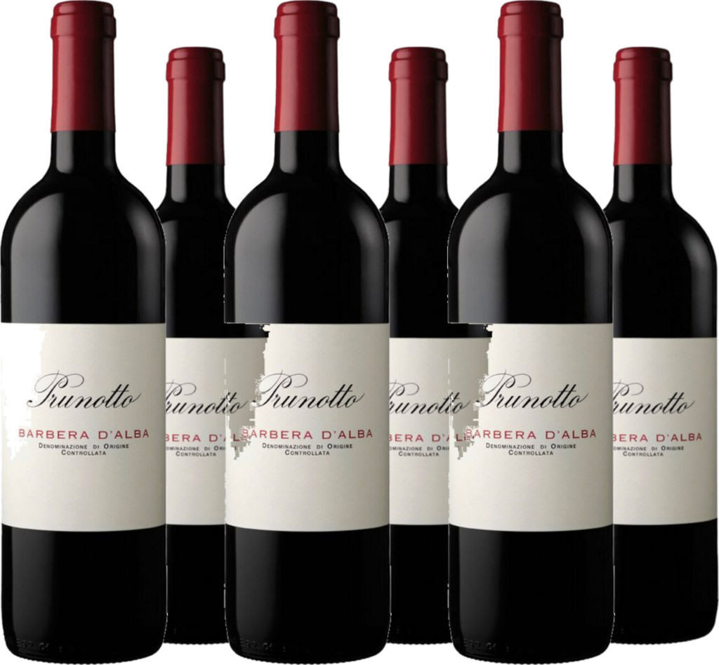 6er Vorteilspaket Barbera d'Alba DOC