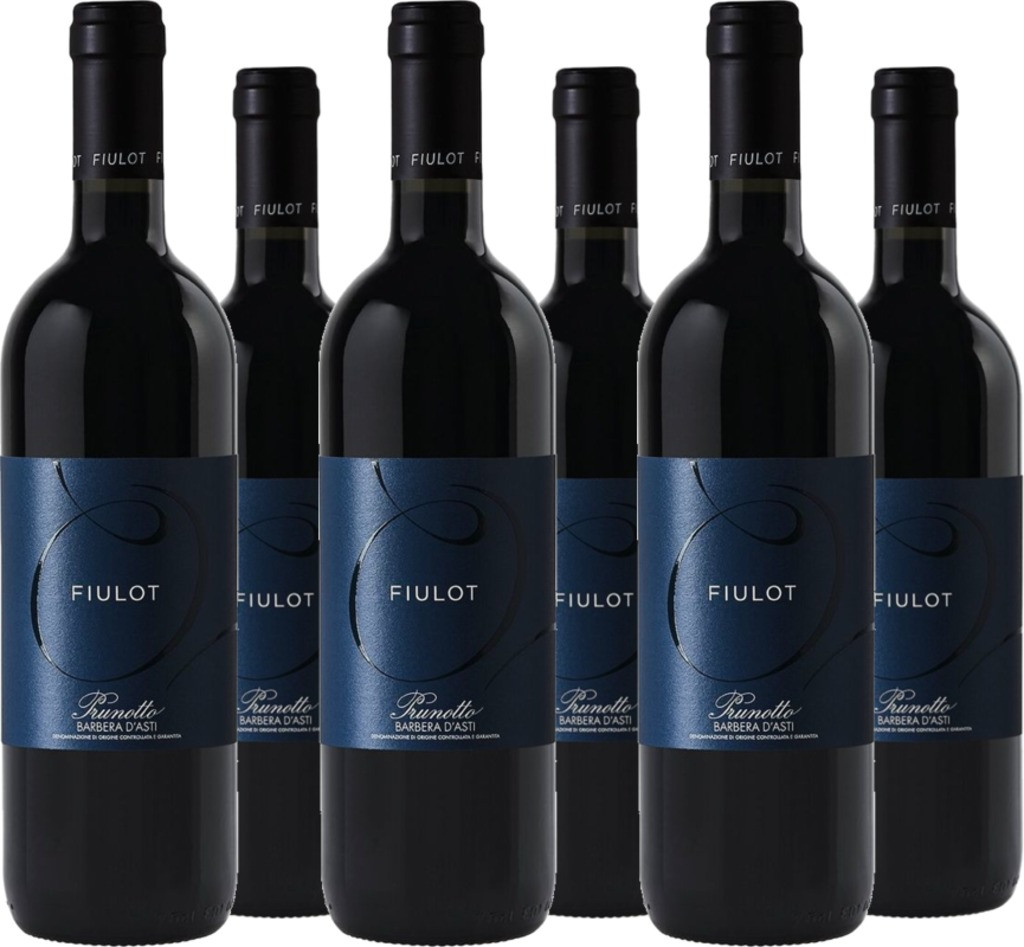 6er Vorteilspaket Fiulot Barbera d'Asti DOCG