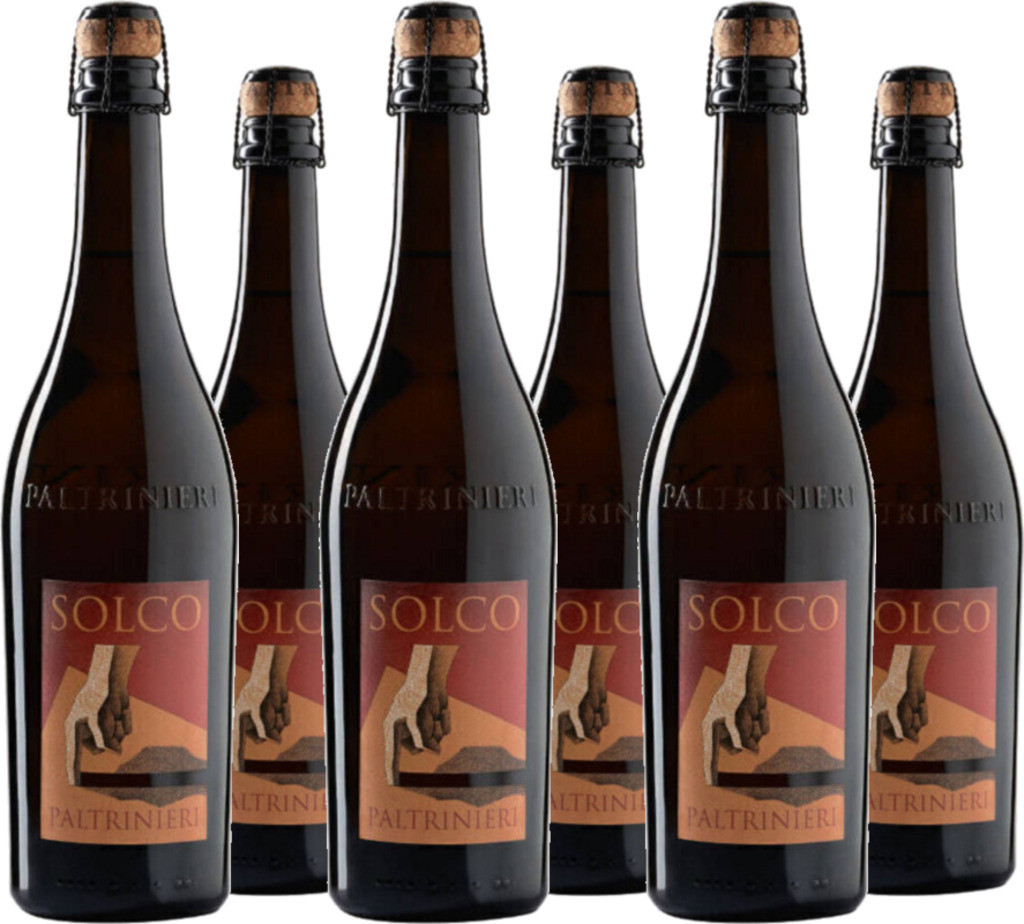 6er Vorteilspaket Solco Lambrusco  Emilia Frizzante Medium-dry IGT