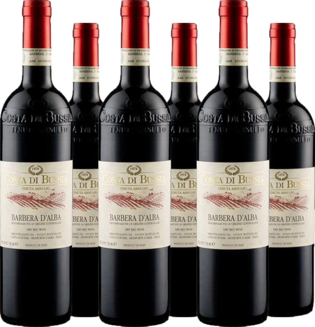 6er Vorteilspaket Costa di Bussia Barbera d Alba DOC