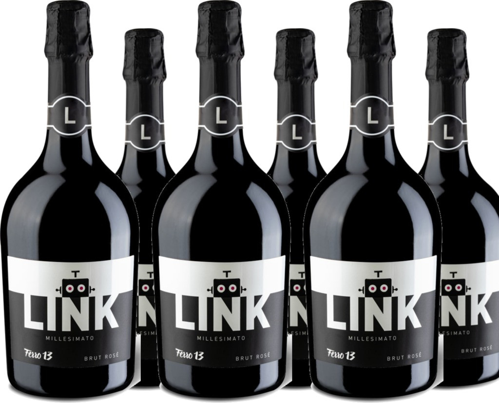 6er Vorteilspaket Link Rosé Millesimato Brut Modena DOC