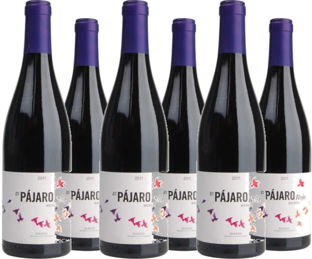 6er Vorteilspaket Pajáro Rojo Bierzo DO