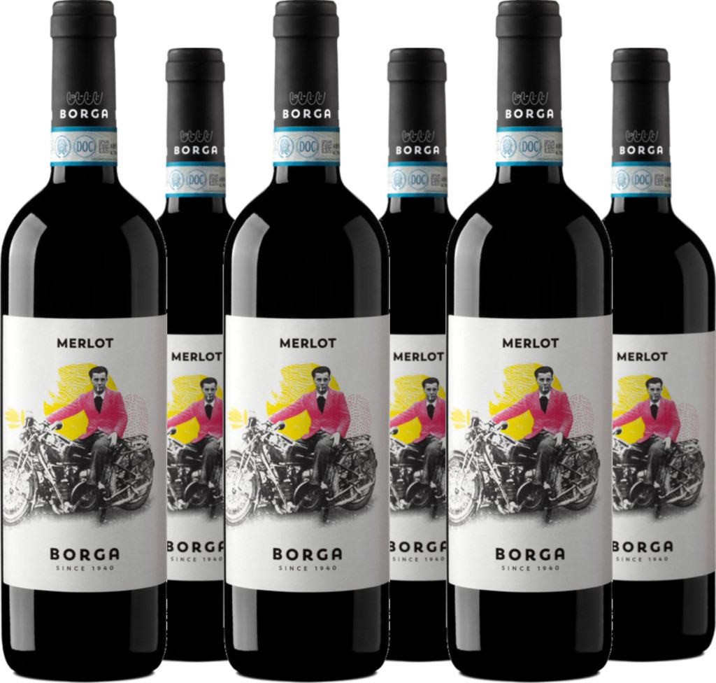 6er Vorteilspaket Merlot delle Venezie DOC