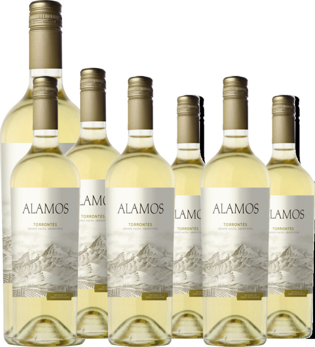6er Vorteilspaket Alamos Torrontés