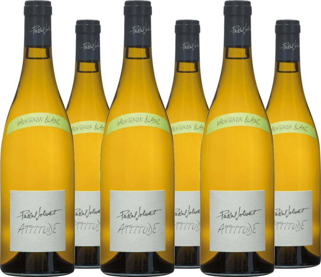 6er Vorteilspaket Attitude Sauvignon Blanc