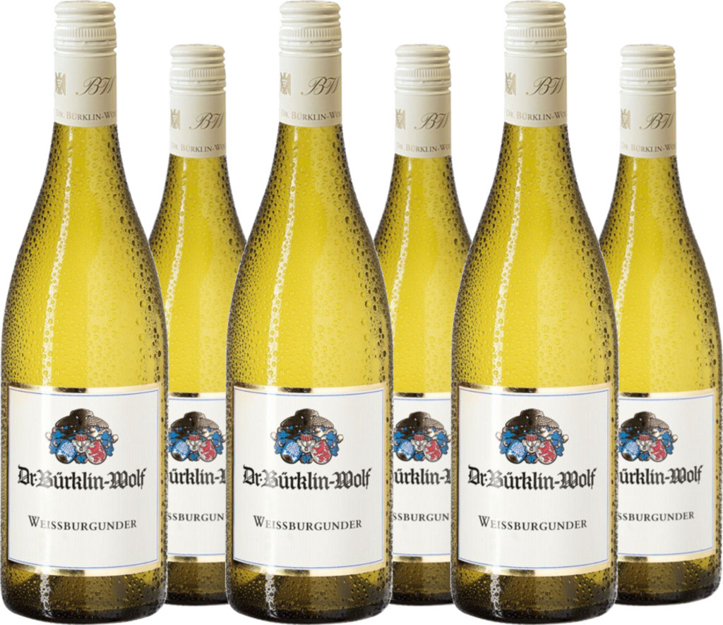 6er Vorteilspaket Weissburgunder trocken QbA der Pfalz
