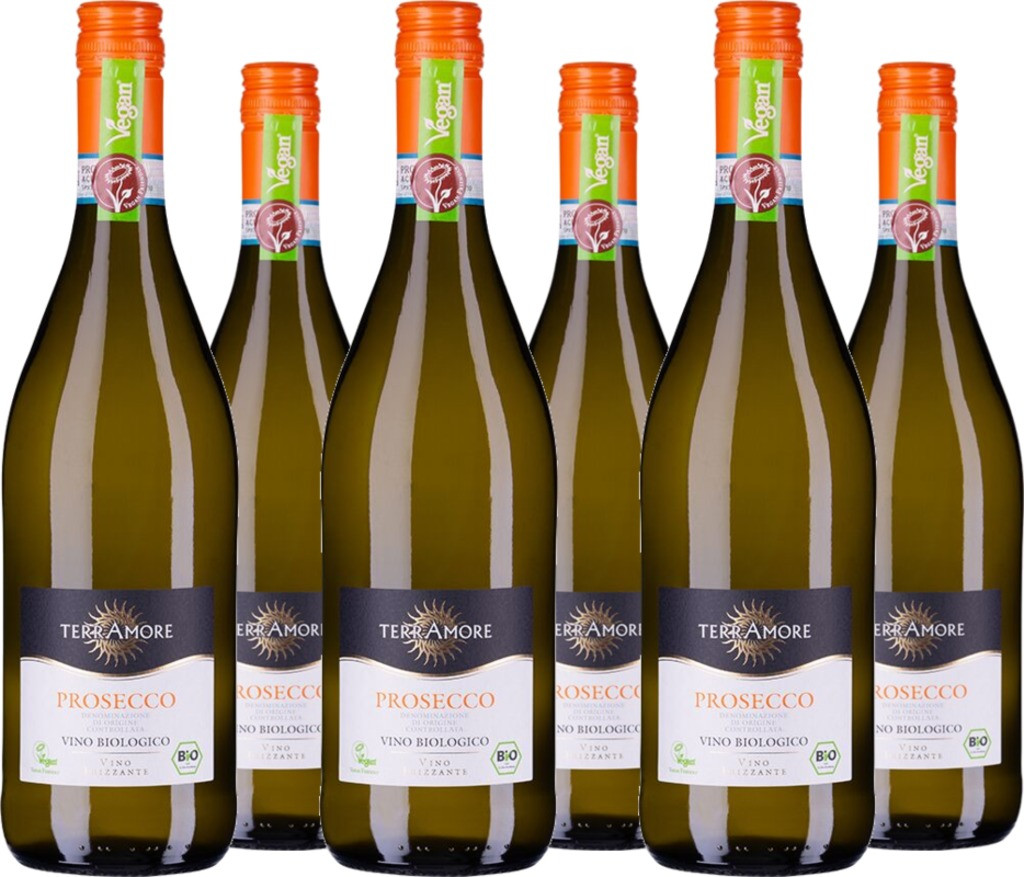 6er Vorteilspaket Prosecco Frizzante Treviso DOC TerrAmore