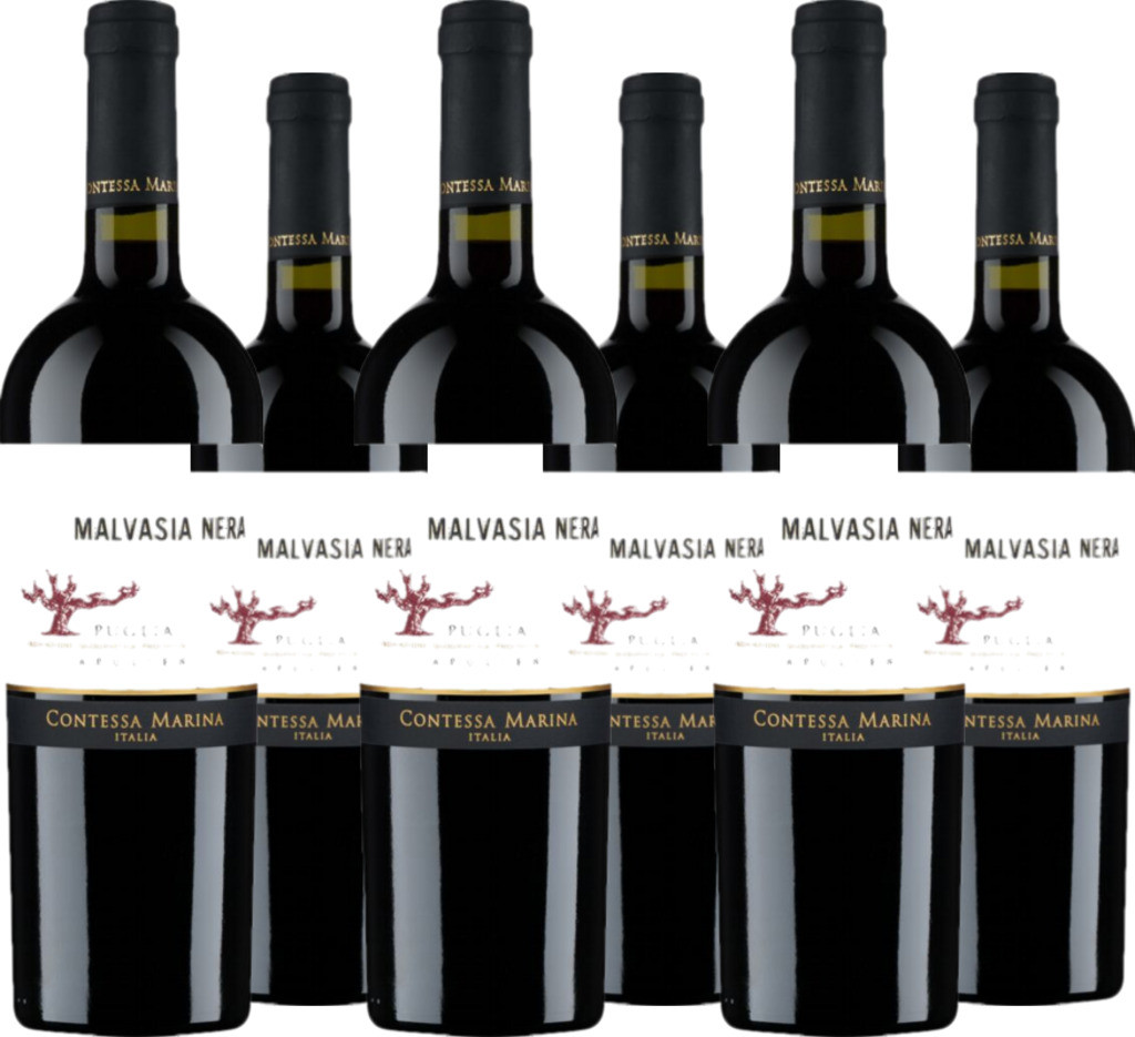 6er Vorteilspaket Malvasia Nera Puglia IGT Contessa Marina