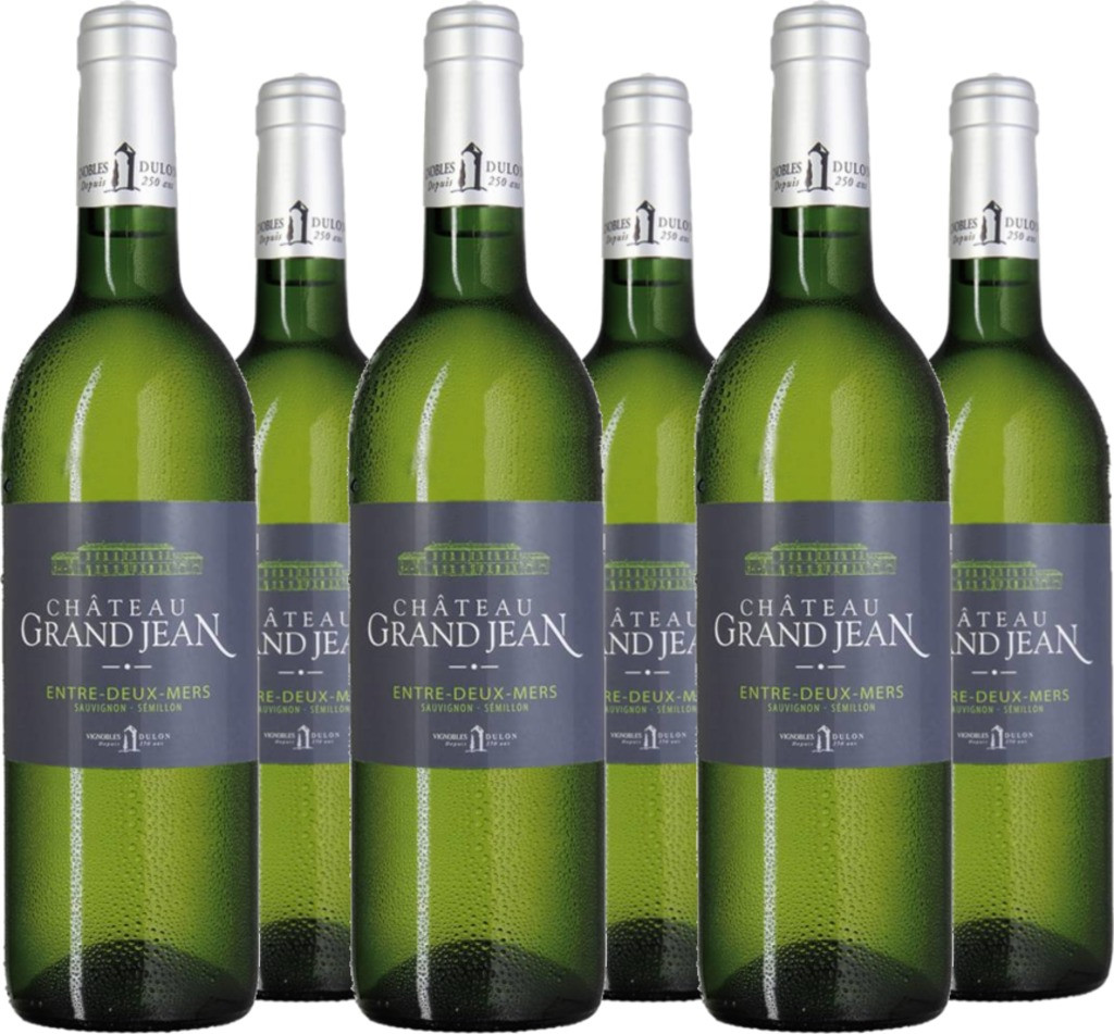 6er Vorteilspaket Chateau Grand Jean Entre deux Mers AC Vignobles Michel Dulon