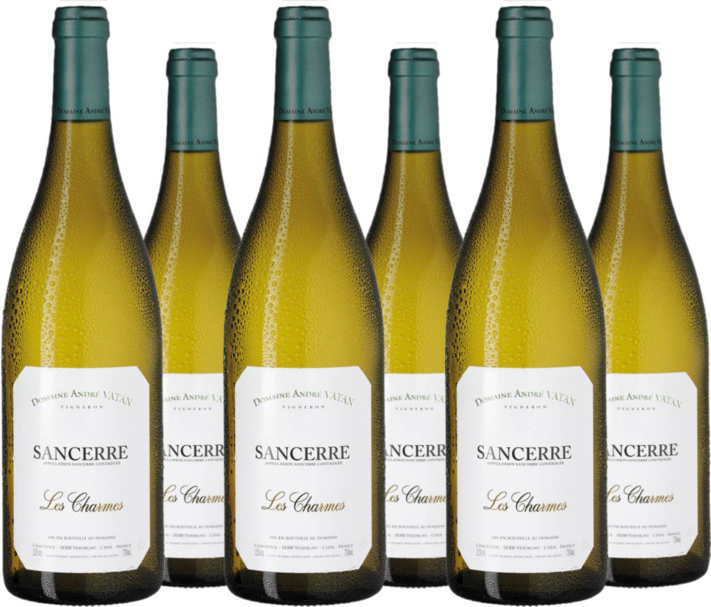 6er Vorteilspaket "Les Charmes" Sancerre AC Domaine André Vatan
