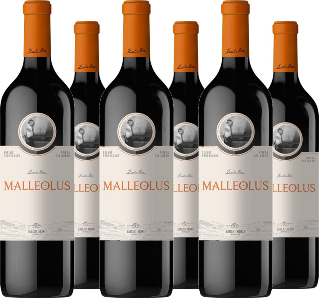 6er Vorteilspaket Malleolus
