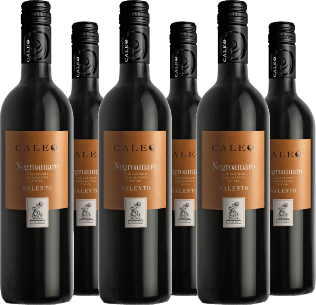 6er Vorteilspaket Negroamaro Caleo Salento IGT