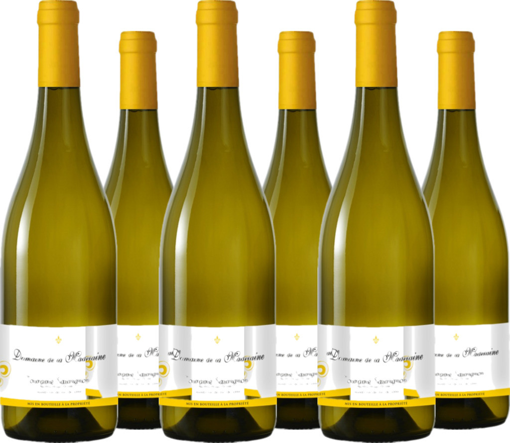 6er Vorteilspaket Touraine Sauvignon AOC Domaine de la Madelaine