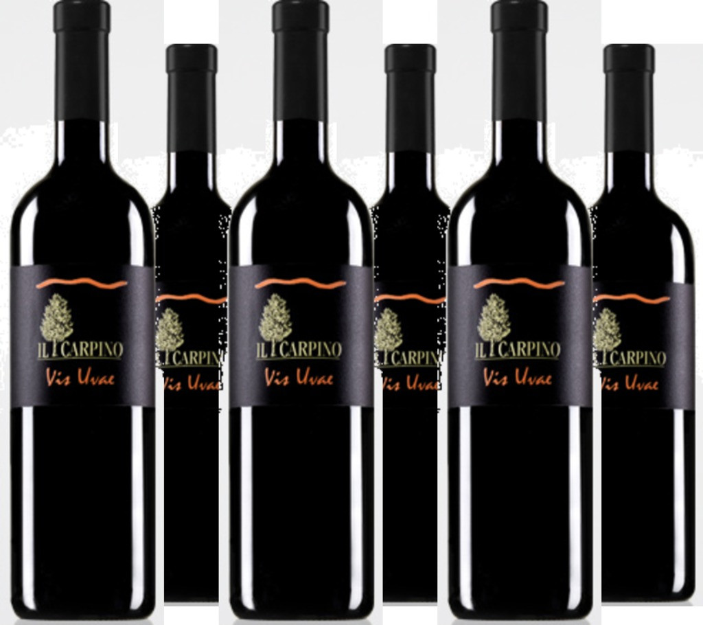 6er Vorteilspaket Pinot Grigio Vis Uvae IGT La Selezione