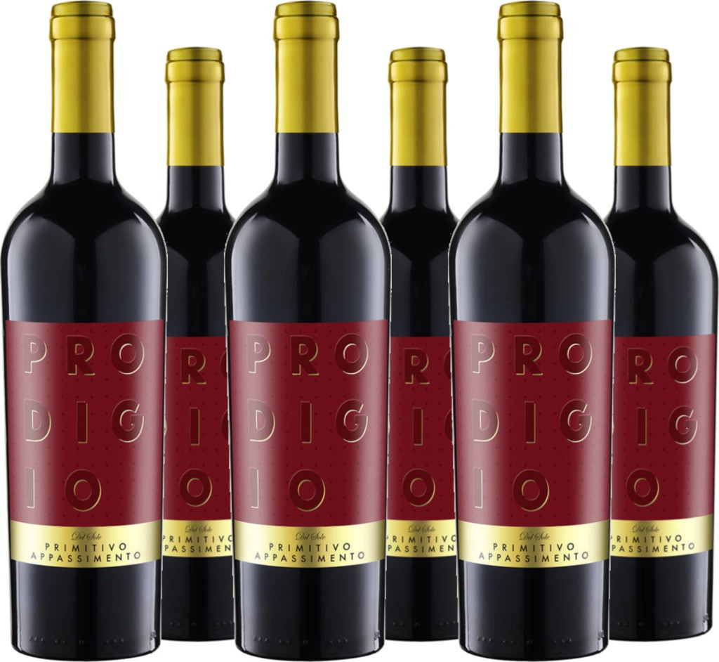 6er Vorteilspaket Premium  Primitivo Appassimento IGP