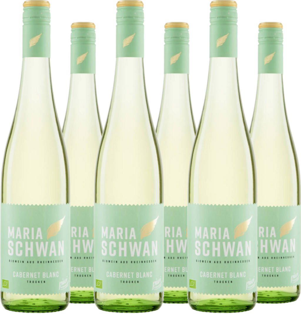 6er Vorteilspaket Cabernet Blanc QW