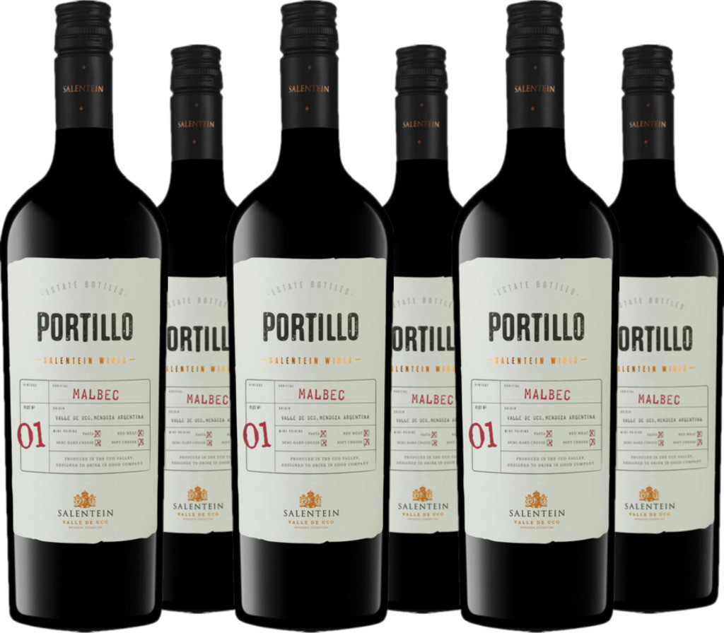 6er Vorteilspaket Bodegas Salentein Portillo Malbec