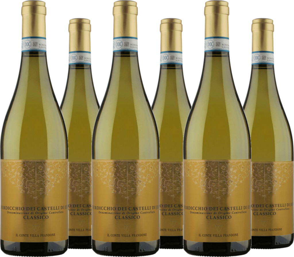 6er Vorteilspaket Il Conte Verdicchio DOC Classico