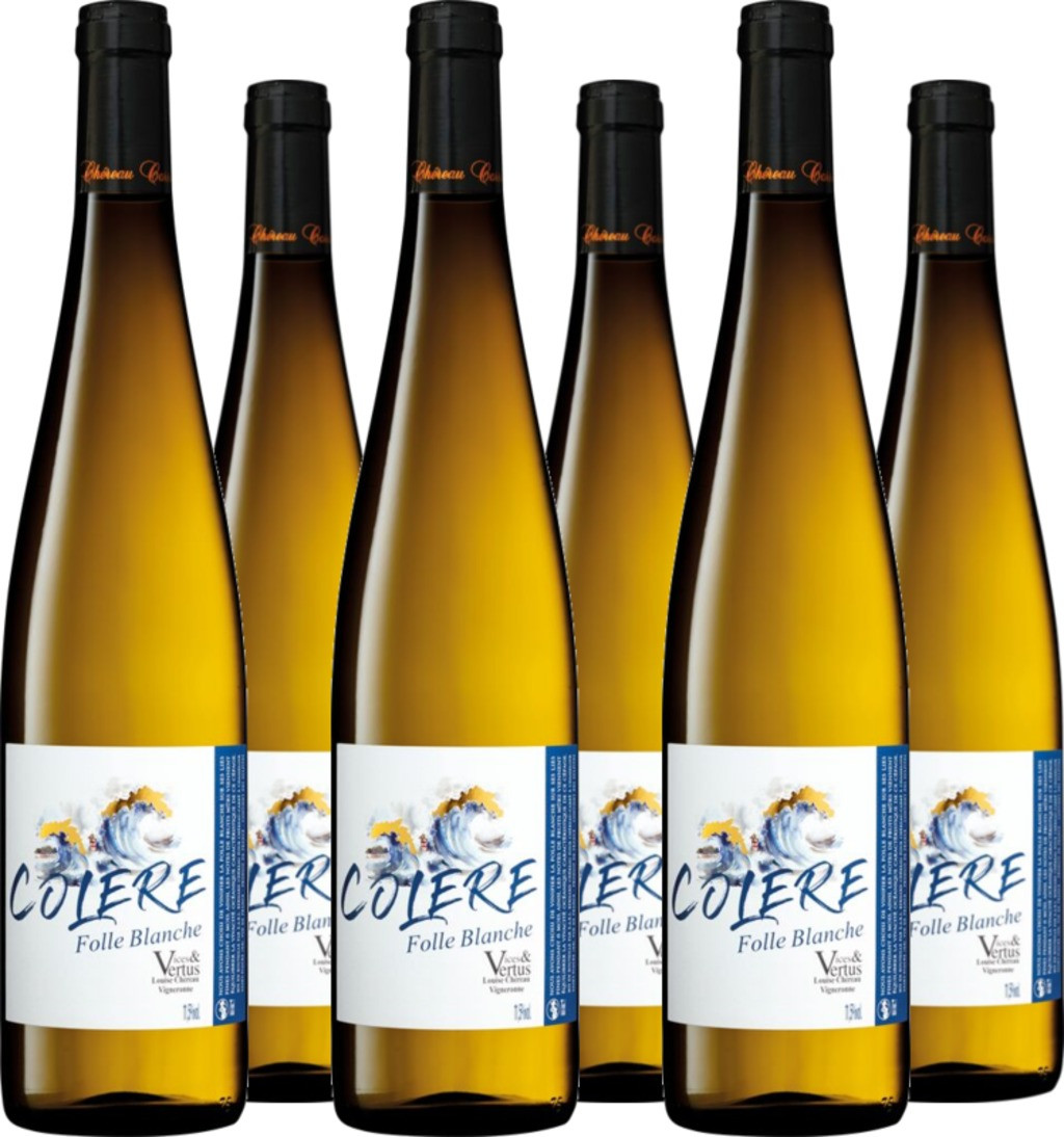 6er Vorteilspaket Colère Folle Blanche Vin de France Vices  Vertus