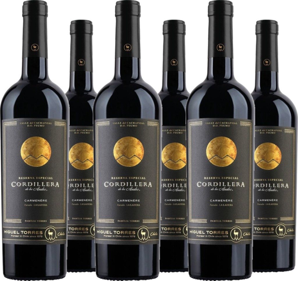 6er Vorteilspaket Cordillera Carmenère Cachapoal Valley