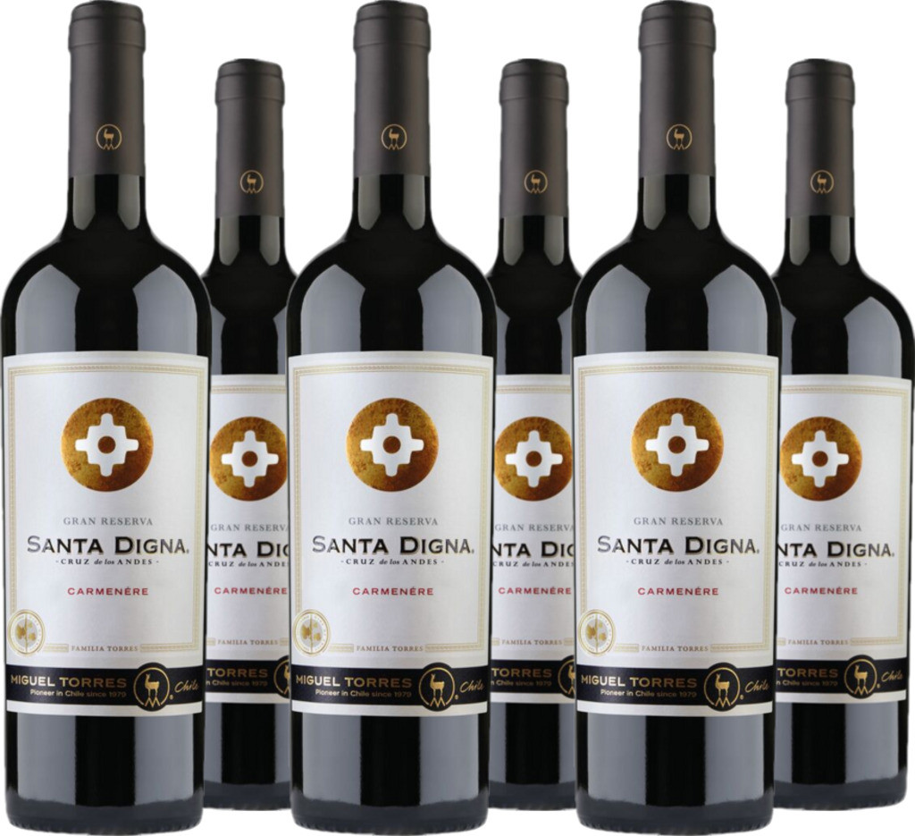 6er Vorteilspaket Santa Digna Carmenère