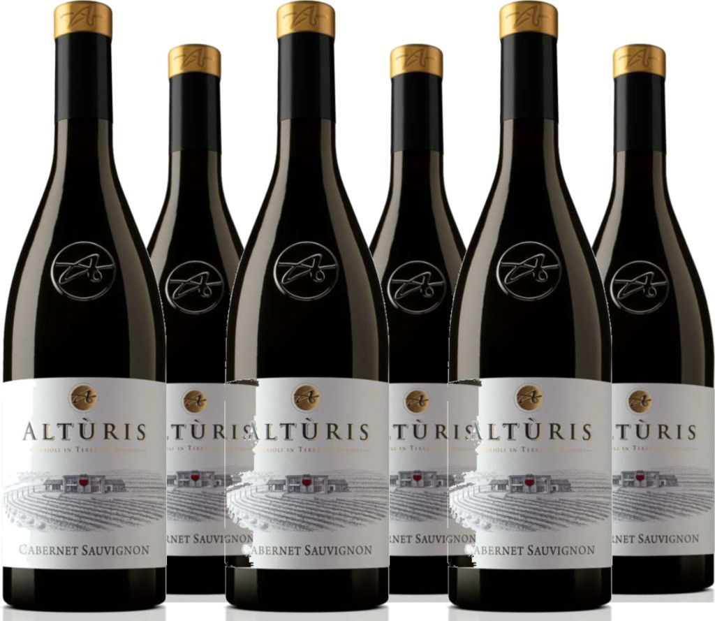 6er Vorteilspaket Cabernet Sauvignon