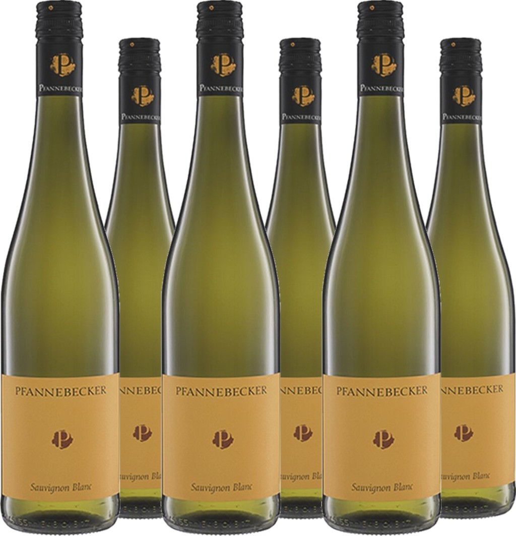 6er Vorteilspaket Sauvignon Blanc QbA trocken