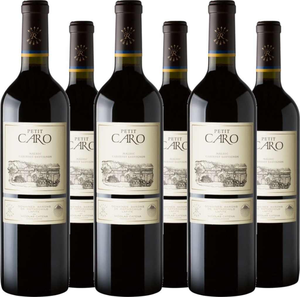 6er Vorteilspaket Bodegas Caro Petit Caro Mendoza