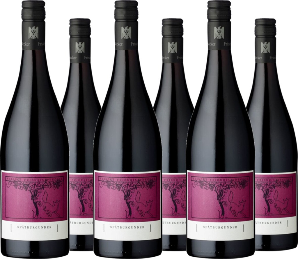 6er Vorteilspaket Pinot Noir VDP  trocken Gutswein
