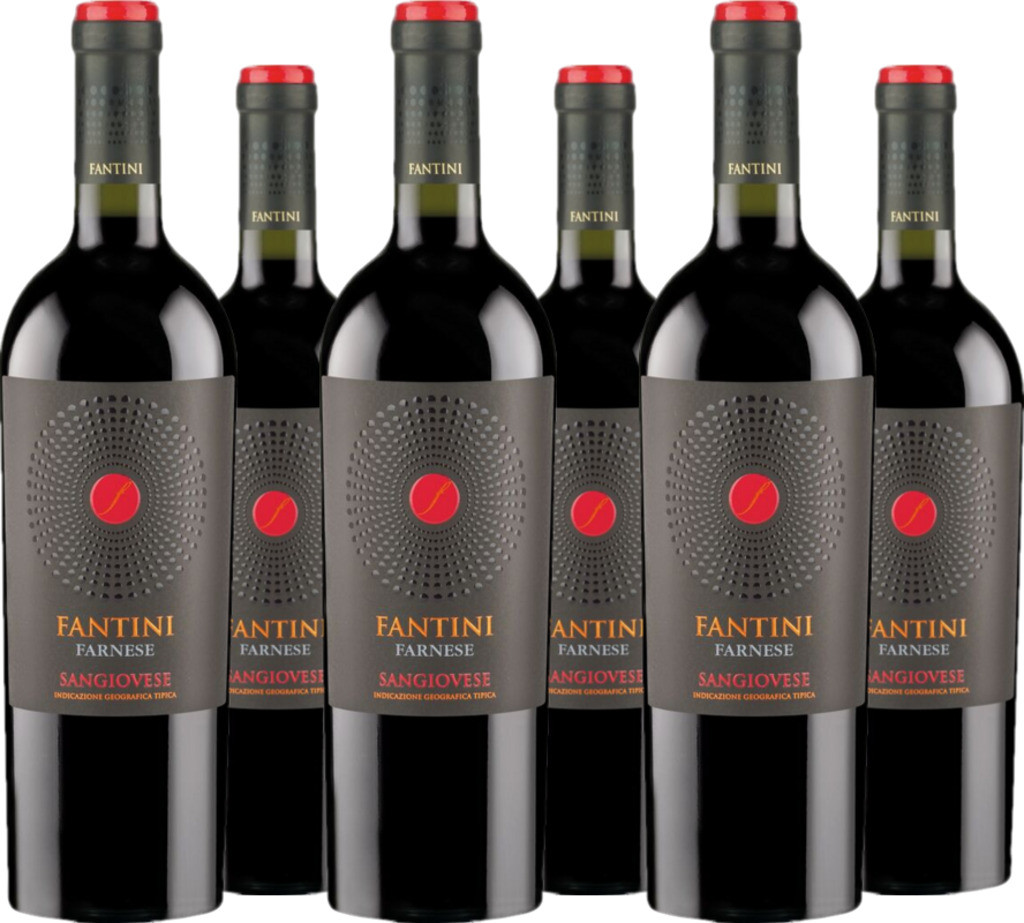 6er Vorteilspaket Fantini Sangiovese Terre di Chieti IGT