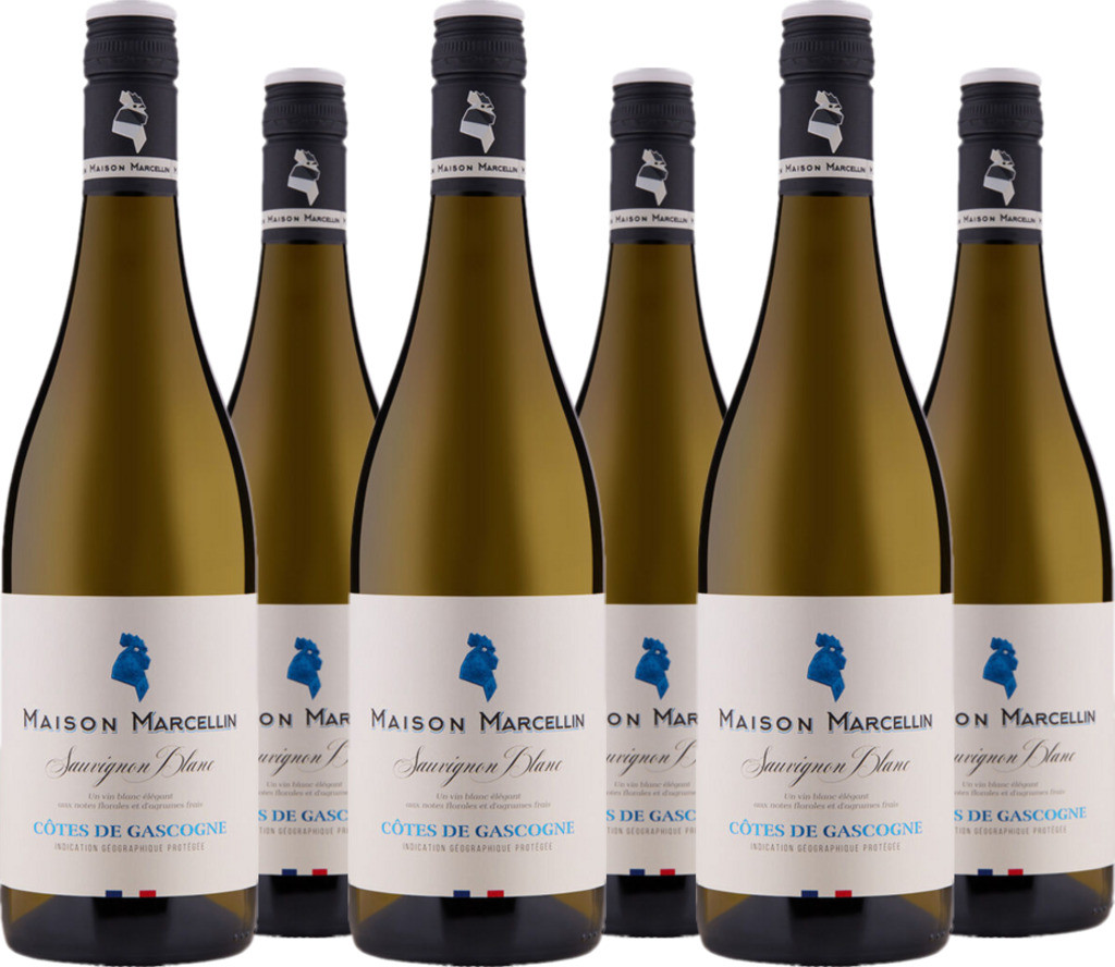6er Vorteilspaket Sauvignon Blanc Côte de Gascogne