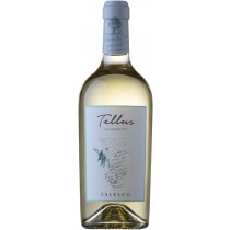 Falesco - Famiglia Cotarella Tellus Chardonnay Bianco Lazio IGP