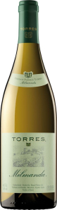 Milmanda Chardonnay Miguel Torres Katalonien