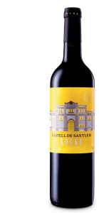 Bodegas Terra de Falanis Castell de Santueri Rouge
